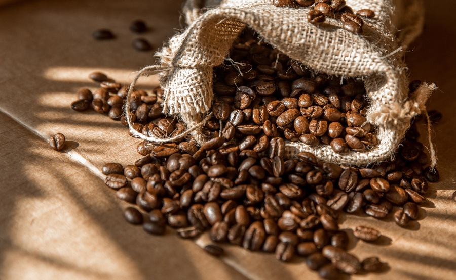 Pleyce café en grains